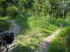 0627_16.jpg (50428 oCg)